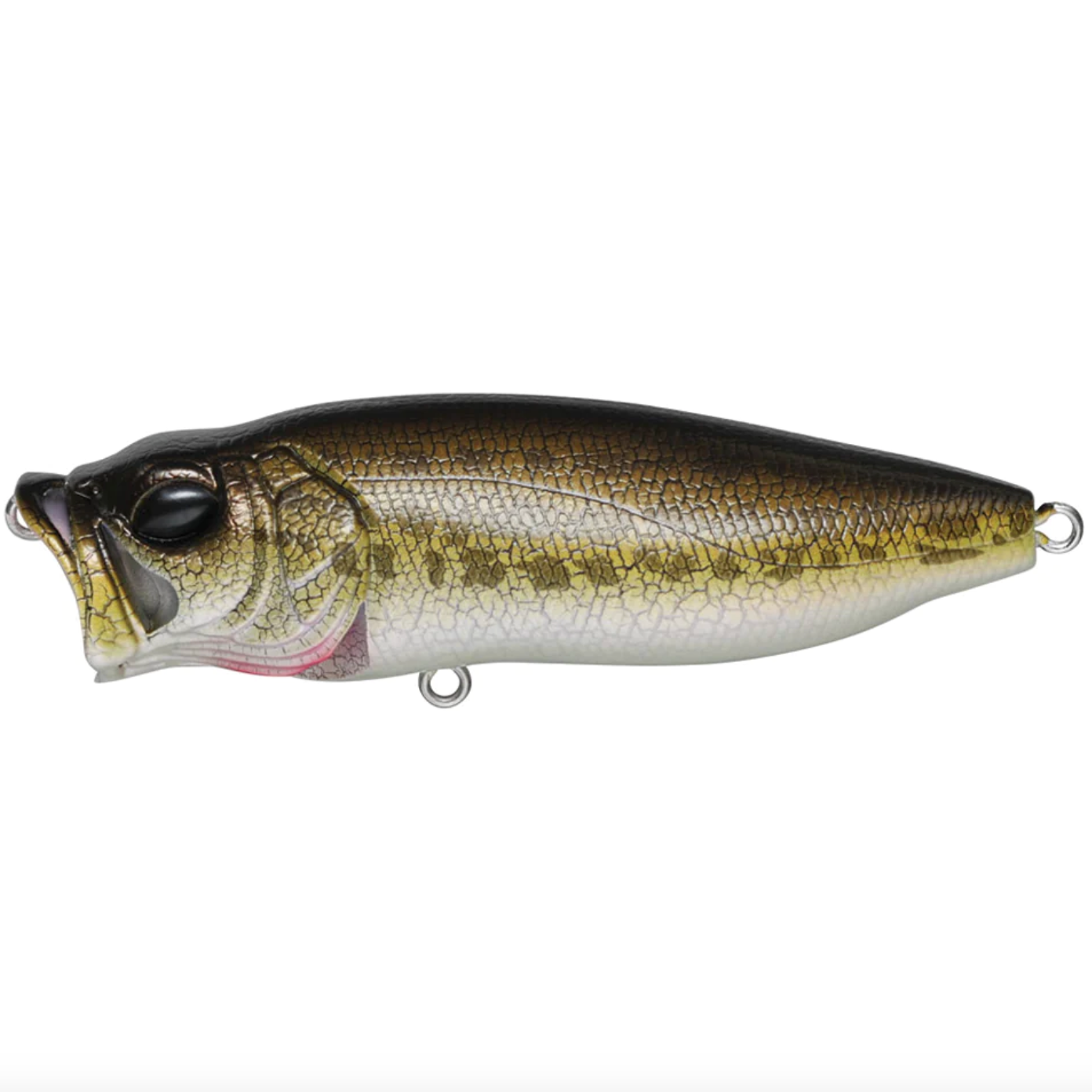 Megabass Popmax